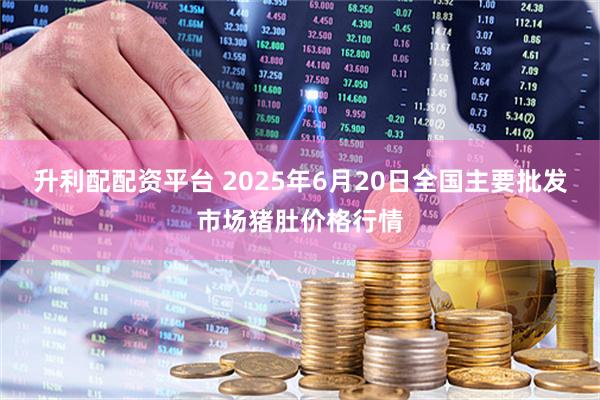 升利配配资平台 2025年6月20日全国主要批发市场猪肚价格行情