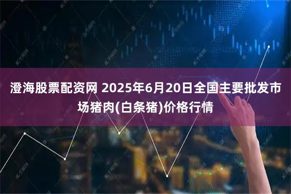 澄海股票配资网 2025年6月20日全国主要批发市场猪肉(白条猪)价格行情