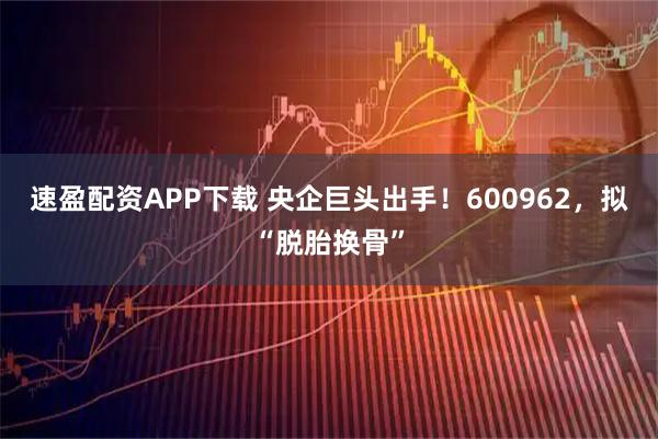 速盈配资APP下载 央企巨头出手！600962，拟“脱胎换骨”