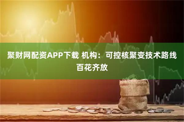 聚财网配资APP下载 机构：可控核聚变技术路线百花齐放