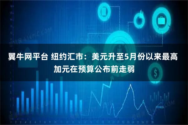 翼牛网平台 纽约汇市：美元升至5月份以来最高 加元在预算公布前走弱