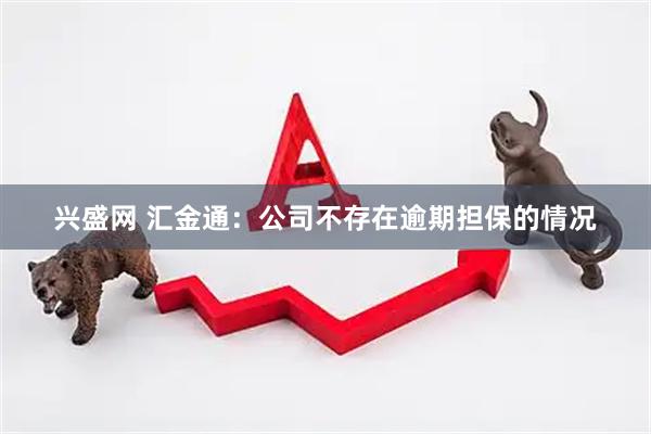 兴盛网 汇金通：公司不存在逾期担保的情况