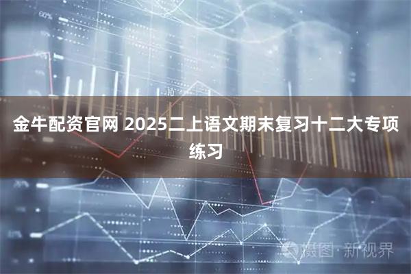 金牛配资官网 2025二上语文期末复习十二大专项练习