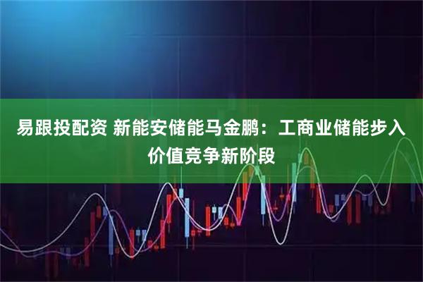 易跟投配资 新能安储能马金鹏：工商业储能步入价值竞争新阶段