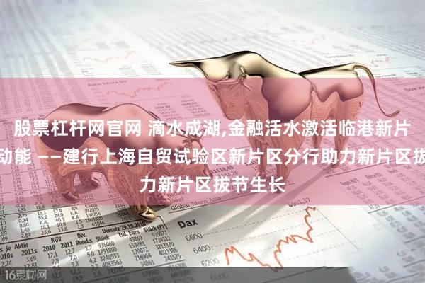 股票杠杆网官网 滴水成湖,金融活水激活临港新片区澎湃动能 ——建行上海自贸试验区新片区分行助力新片区拔节生长
